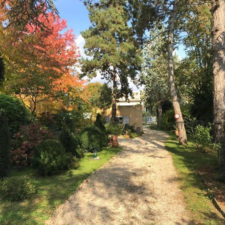פאליזו Studio Fond De Jardin מראה חיצוני תמונה