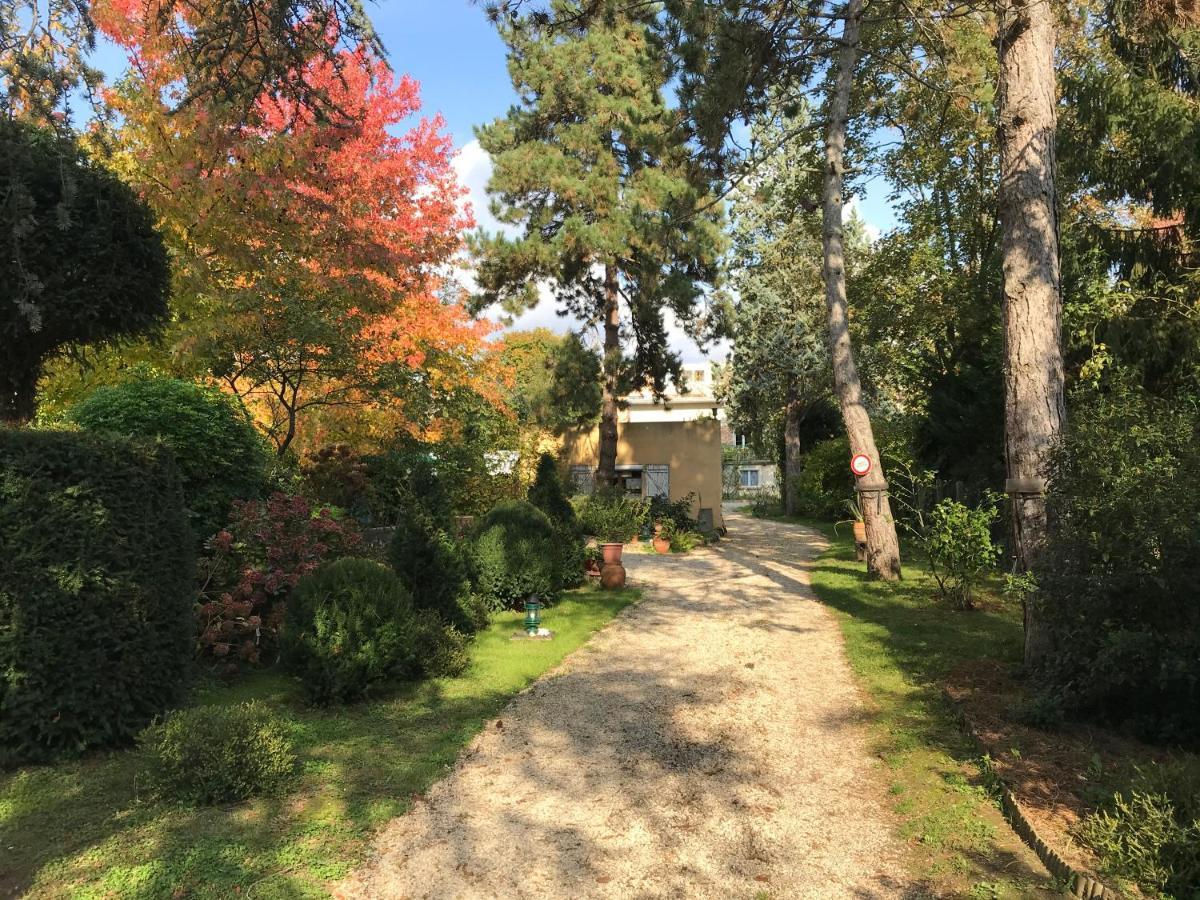 פאליזו Studio Fond De Jardin מראה חיצוני תמונה